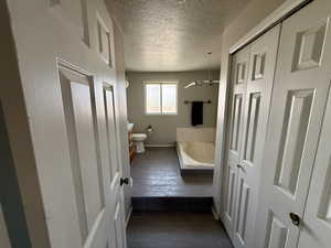 Full bathroom with vanity, a textured ceiling, and dark wood finished floors