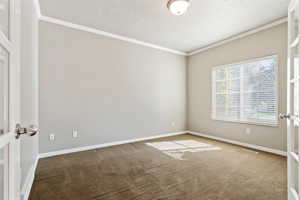 Office with crown molding, carpet flooring, and french doors