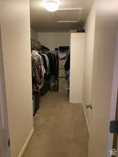 Spacious closet featuring light carpet and attic access