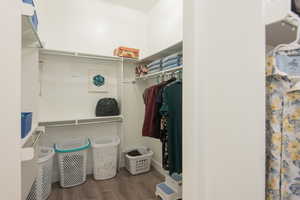 Walk in closet with light wood-type flooring