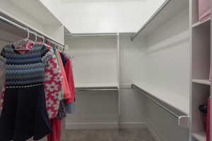 Spacious closet featuring light colored carpet