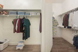 Spacious closet featuring dark wood-style flooring