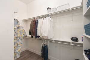 Spacious closet with dark wood-type flooring