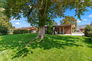 View of green lawn featuring a patio area and a mountain view