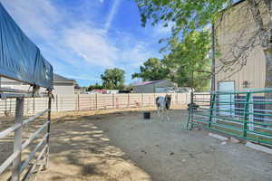 View of yard featuring an outdoor structure and an exterior structure