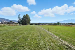 View of yard with a mountain view and a rural view