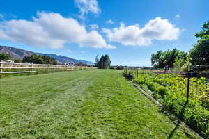 View of yard with a rural view and a mountain view