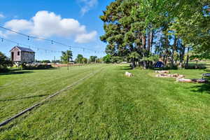 View of grassy yard