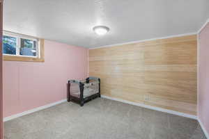 Unfurnished room featuring wooden walls, a textured ceiling, and carpet flooring