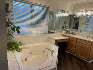 Full bathroom with a whirlpool tub, vanity, and dark wood-style floors