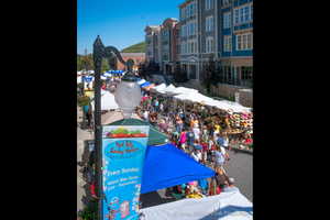 Surrounding community