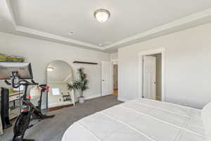 Bedroom featuring a raised ceiling and carpet flooring