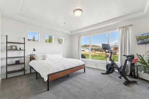 Carpeted bedroom featuring a raised ceiling, multiple windows, and a textured ceiling
