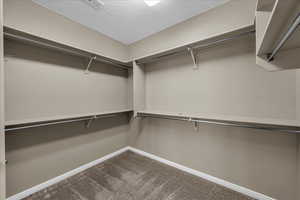 Spacious closet with dark carpet