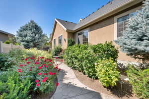 View of stamped walk way backyard