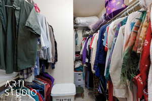 Spacious closet featuring light carpet