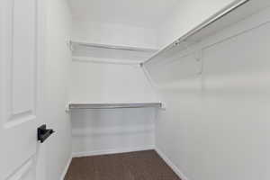 Walk in closet with dark colored carpet
