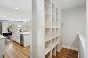 Mudroom area with cubbies and hooks