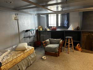 Bedroom with carpet floors