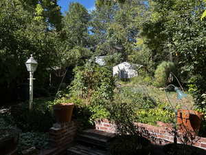 View of yard with a storage unit