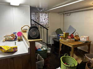 Finished below grade area with radiator and wooden walls