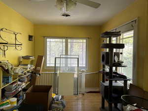 Bedroom featuring light wood finished floors, healthy amount of natural light, and ceiling fan