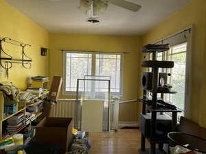 Office featuring light wood-style flooring, plenty of natural light, and a ceiling fan