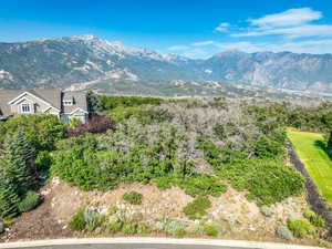 View of mountain background with a tree filled landscape