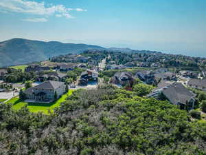 Aerial perspective of suburban area with mountains