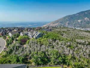 View of mountain background