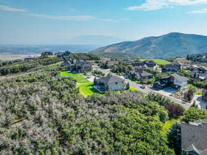 Aerial perspective of suburban area with mountains