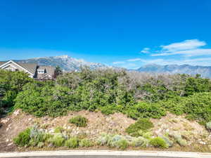 View of mountain backdrop