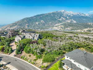 View of mountain background featuring nearby suburban area