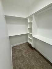 Master walk in closet with carpet