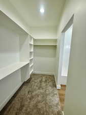 Walk in closet with light colored carpet
