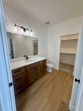 Master bathroom with a walk in closet, vanity, and light wood-style flooring