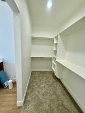 Walk in closet with light colored carpet
