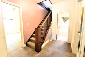 Stairs with carpet and baseboards