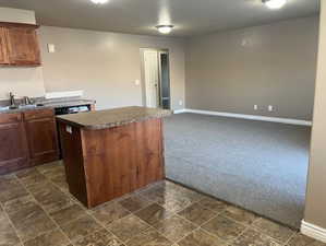 Kitchen with dark colored carpet, open floor plan, a kitchen island, and dishwashing machine