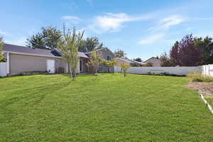 View of fenced backyard