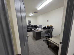 Office space with light colored carpet and a textured ceiling