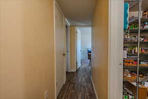 Hall with dark wood-style flooring and a textured ceiling