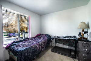 Bedroom with carpet