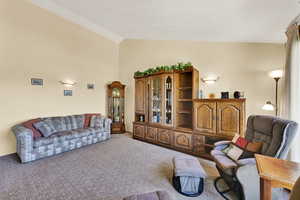 Carpeted living room featuring high vaulted ceiling