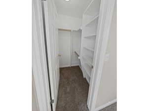 Walk in closet with dark carpet