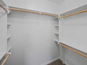 View of walk in closet