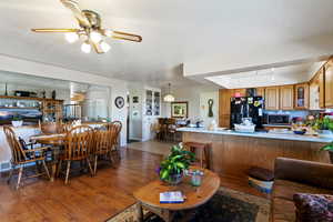 Living area with rail lighting, dark wood-style flooring, a ceiling fan, and a textured ceiling
