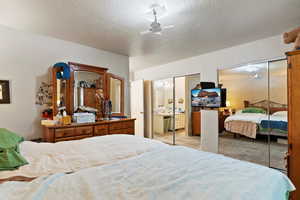 Carpeted bedroom with multiple closets, a textured wall, and a textured ceiling