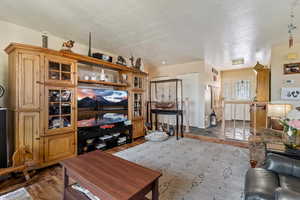 Living room featuring a textured ceiling and dark wood-style flooring