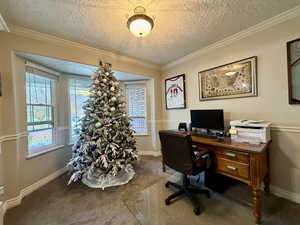 Carpeted office space with crown molding and a textured ceiling